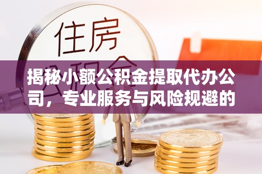 滨城揭秘小额公积金提取代办公司，专业服务与风险规避的平衡艺术