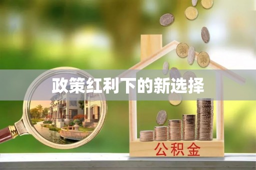 滨城政策红利下的新选择