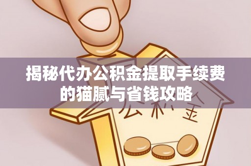 滨城揭秘代办公积金提取手续费的猫腻与省钱攻略