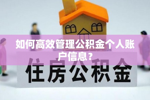 滨城如何高效管理公积金个人账户信息？