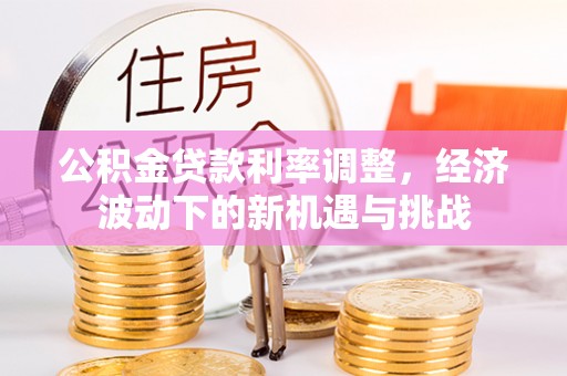 滨城公积金贷款利率调整，经济波动下的新机遇与挑战
