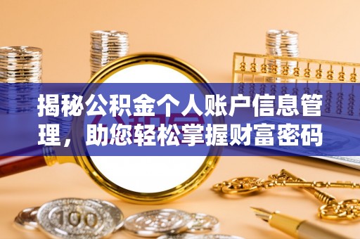 滨城揭秘公积金个人账户信息管理，助您轻松掌握财富密码