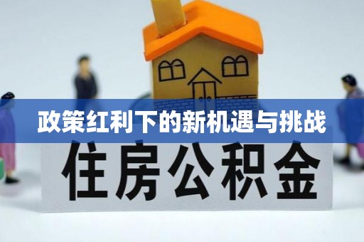 滨城政策红利下的新机遇与挑战