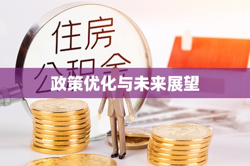 滨城政策优化与未来展望
