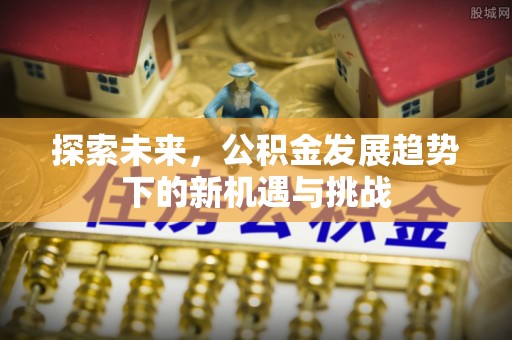 滨城探索未来，公积金发展趋势下的新机遇与挑战