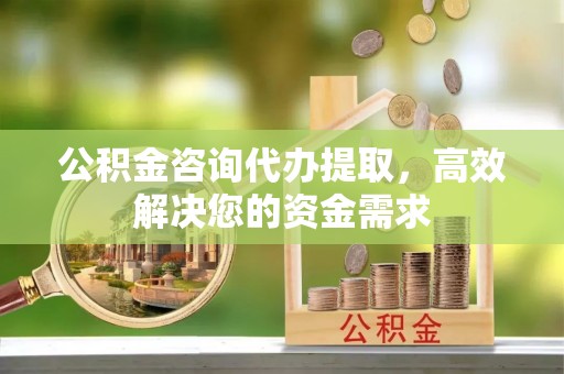 滨城公积金咨询代办提取，高效解决您的资金需求