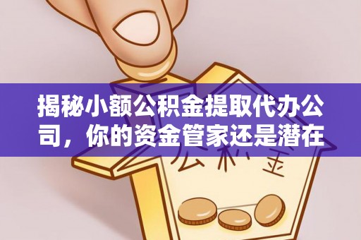 滨城揭秘小额公积金提取代办公司，你的资金管家还是潜在风险？