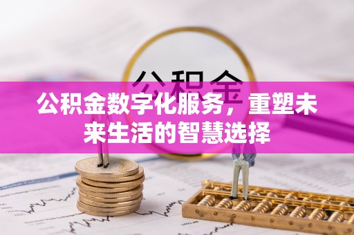 滨城公积金数字化服务，重塑未来生活的智慧选择