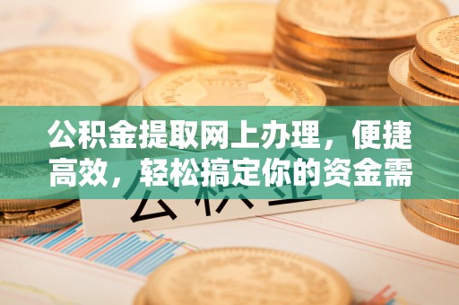 滨城公积金提取网上办理，便捷高效，轻松搞定你的资金需求