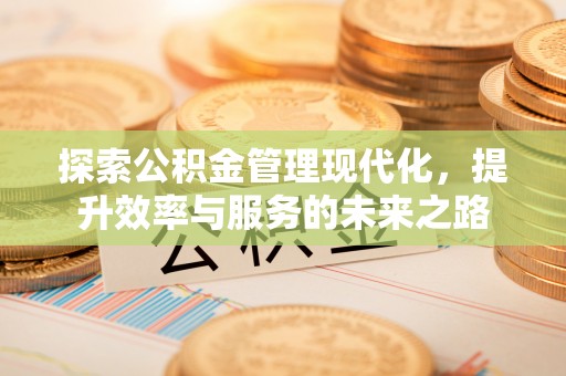 滨城探索公积金管理现代化，提升效率与服务的未来之路