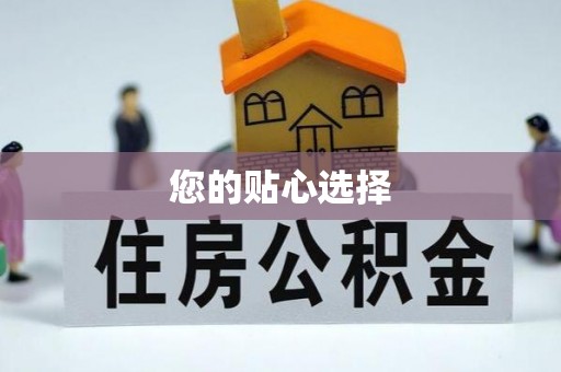 滨城您的贴心选择