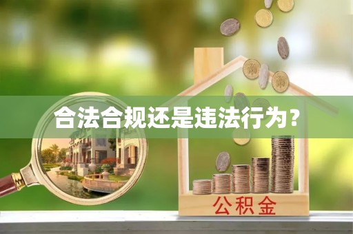 滨城合法合规还是违法行为？
