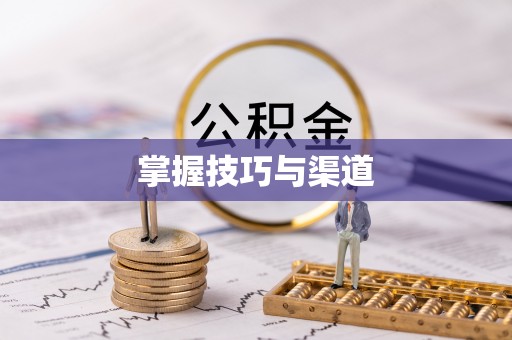滨城掌握技巧与渠道