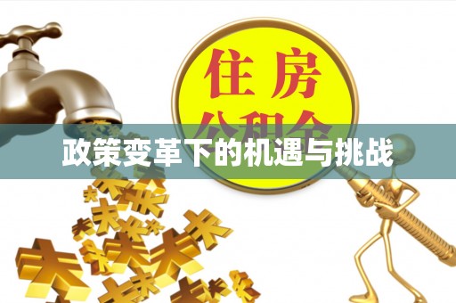 滨城政策变革下的机遇与挑战