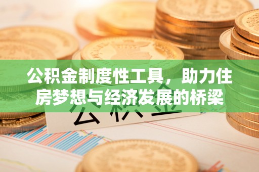 滨城公积金制度性工具，助力住房梦想与经济发展的桥梁
