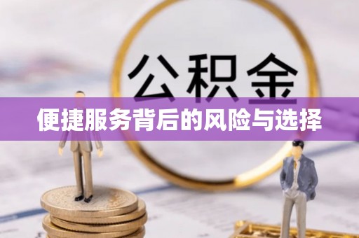 滨城便捷服务背后的风险与选择