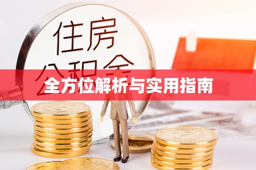 滨城全方位解析与实用指南