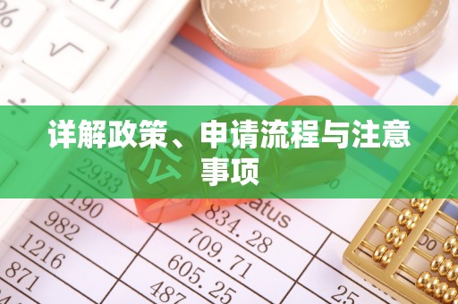 滨城详解政策、申请流程与注意事项