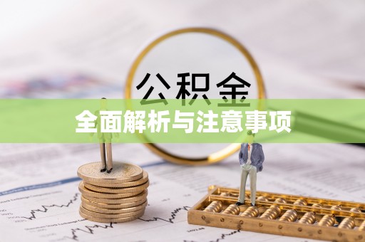 滨城全面解析与注意事项