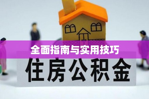 滨城全面指南与实用技巧