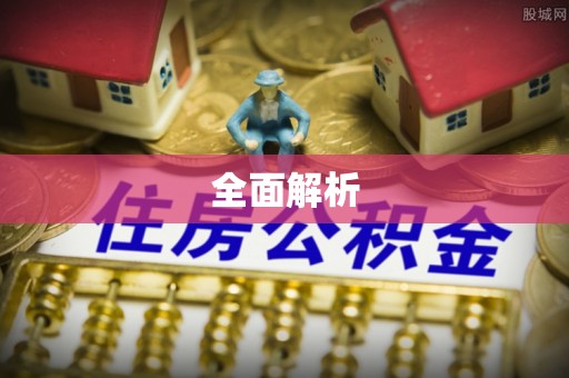 滨城全面解析