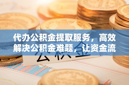 滨城代办公积金提取服务，高效解决公积金难题，让资金流动更灵活